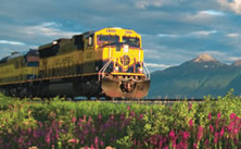 Glacier Sightseeing Train Tours